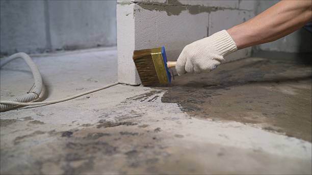SJ Waterproofing Pros Foundation Crack Repair coverage map for Appleton, MN and surrounding area